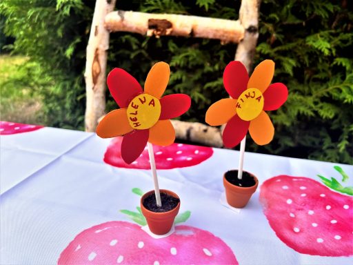 Tischkärtchen zum Beschriften Kindergeburtstag Blumen Tischkärtchen zum Beschriften